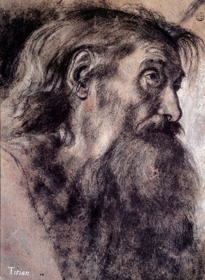Öregember feje Tiziano Vecellio rajza, Tizianus (1485-1576) 16. századi Párizs, Louvre Múzeum alkotó: Titian (c.1488 1576)