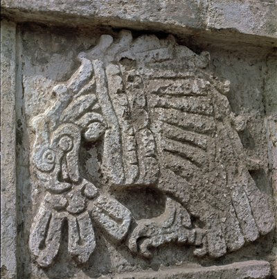 Egy sas domborműve, Quetzalcoatl temploma alkotó: Toltec Toltec