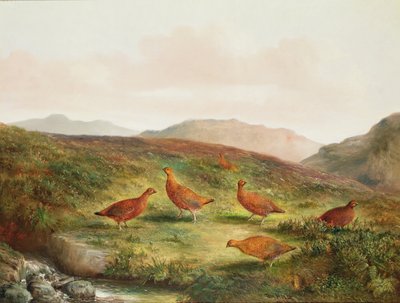 Grouse Moorland tájon alkotó: Tom Hold