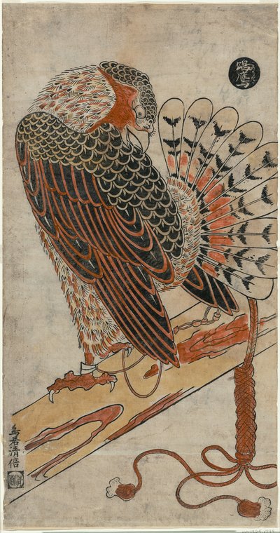 Sparrowhawk (Konori Taka) alkotó: Torii Kiyomasu I