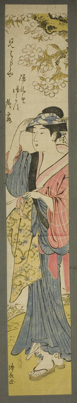 Nő nézi a cseresznyevirágokat alkotó: Torii Kiyonaga