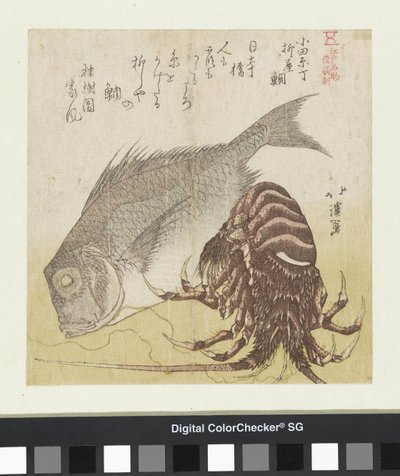 A Yanagiya tengeri sügér Odawara Chôben Odawara Chô Yanagiya tai (cím a tárgyon) Edo híres termékei (sorozat címe) Edo meibutsu (sorozat címe az objektumon) alkotó: Totoya Hokkei