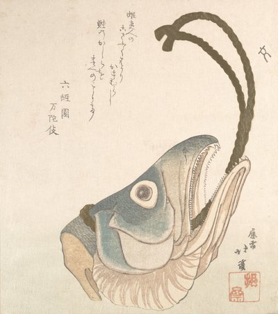 Egy lazac feje, kb. 1820. alkotó: Totoya Hokkei