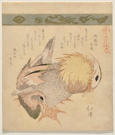 Mandarin kacsa pár alkotó: Totoya Hokkei