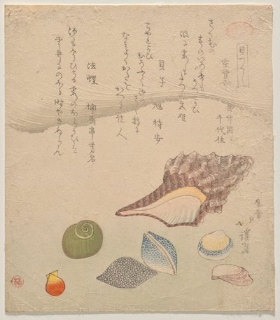 Seven Shells at the Edge of the Sea, a Shells Compendium (Kaizukushi) sorozatból alkotó: Totoya Hokkei
