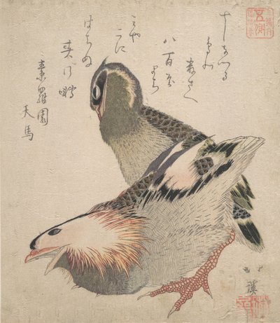 Két madár. alkotó: Totoya Hokkei