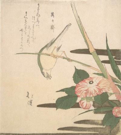 Pacsirta és kamélia, kb. 1815-20. alkotó: Totoya Hokkei