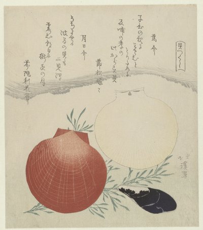 Édesvízi kagyló és japán nap-hold kagylóhéj Karasugai tsukihigai (cím a tárgyon) Kagylók sorozata (sorozat címe) Kaitsukushi (sorozat címe az objektumon) alkotó: Totoya Hokkei