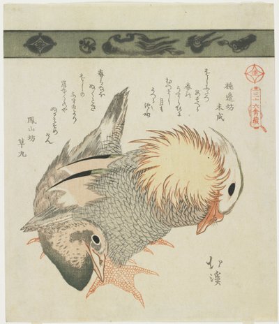 Mandarin Duck and Drake, c. 1830 alkotó: Toyota Hokkei