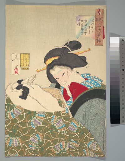 Warmes Gefühl alkotó: Tsukioka Yoshitoshi