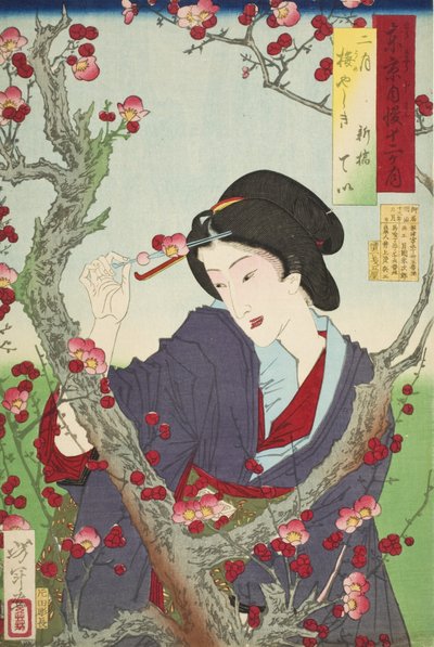  alkotó: Tsukioka Yoshitoshi