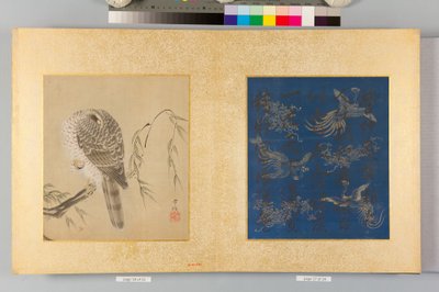  alkotó: Tsunenobu Kano