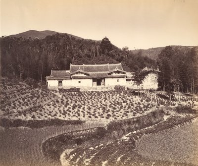 Teafield & Josshouse, Peling, kb. 1869. alkotó: Tung Hing.