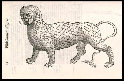 Szörnylény: halpikkelyekkel borított oroszlán (vagy oroszlánhal). Ulisse Aldrovandi (1522-1605) metszet, „Monstrorum Historiae”, Bologna 1642 alkotó: Ulisse Aldrovandi