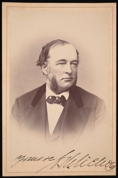 Charles Henry Nichols portréja 1820-1889, 1872. alkotó: Ulke Bros
