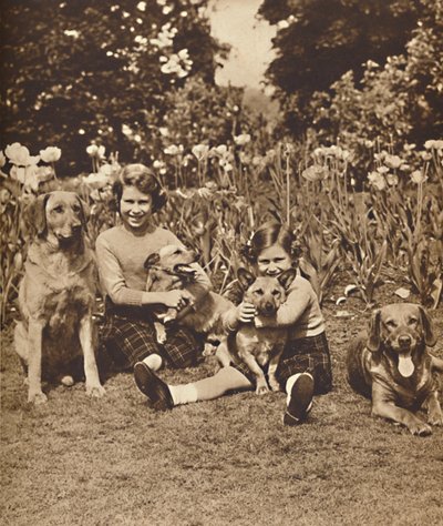 - És barátok, Erzsébet és Mária hercegnők a királyi páholyban, Windsor, c1936 1937 alkotó: Unbekannt