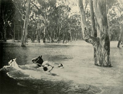 Egy bankár, 1901. alkotó: Unbekannt