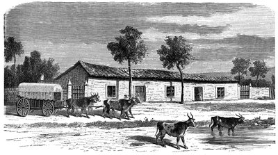 Egy búr farm, Dél-Afrika, 1890 alkotó: Unbekannt