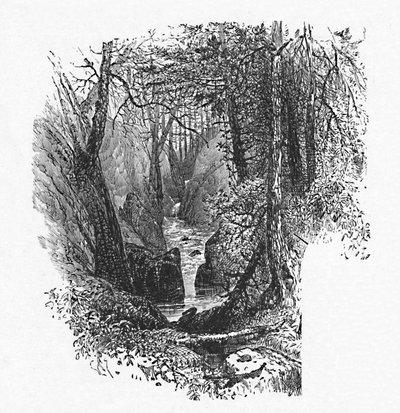 Etető a tóhoz, 1883 alkotó: Unbekannt