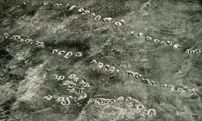 Gyalogsági támadás a senkiföldön, 1919. alkotó: Unbekannt