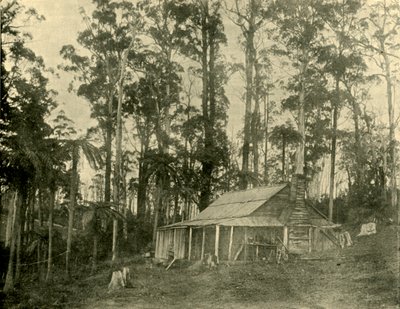 Rusztikus lakóház, 1901. alkotó: Unbekannt