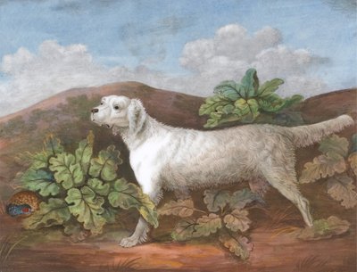 Egy szetter: balra néz, baloldalt egy fogoly rejtőzik a bojtorján, kb. 1805. alkotó: Unbekannt