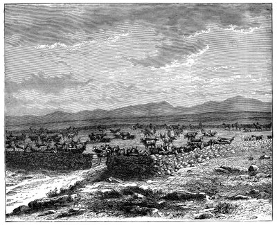 Dél-afrikai szarvasmarha kraal, 1890 alkotó: Unbekannt