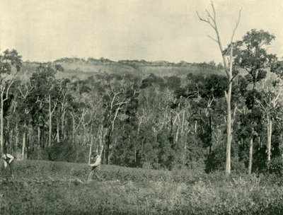 Egy viktoriánus hegyi farm, 1901. alkotó: Unbekannt