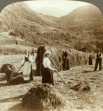 Egy farmercsalád szénát készít egy napsütötte mezőn a hegyek között, Roldal, Norvégia, c1905. alkotó: Unbekannt