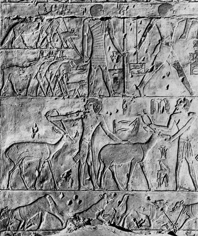 Vadászjelenet Ptahhotep sírjából, Saqqara közelében, Egyiptom, Kr.e. 2650, 1936 alkotó: Unbekannt
