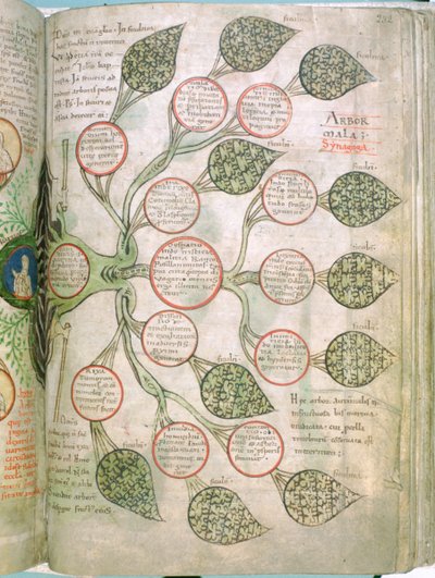 Egy oldal a Liber Floridusból, 12. század alkotó: Unbekannt