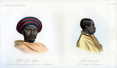 Abesszin portrék, 1848 alkotó: Unbekannt
