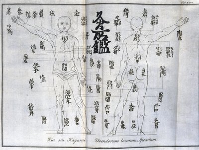 Akupunktúra: az emberi test térképe, amely a moxibuszciós pontokat jelzi, Japán (A moxára vonatkozó diagram, c 1690) alkotó: Unbekannt
