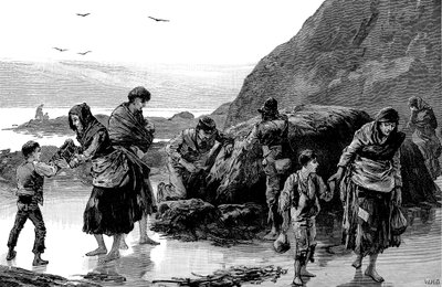 Az éhínség következményei, Írország 1840-es évek, 1886 alkotó: Unbekannt