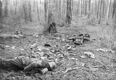A harcok következményei a Plessis-de-Roye parkban, Picardy, Franciaország, 1918. március 30. alkotó: Unbekannt