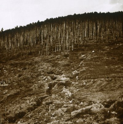 Elzász, c1914-c1918 alkotó: Unbekannt