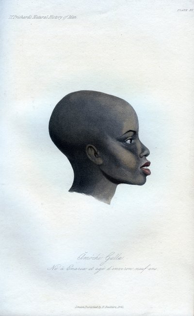 Amochi Galla, egy galla portréja, 1848 alkotó: Unbekannt