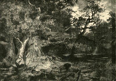 Egy régi német erdő, 1890. alkotó: Unbekannt