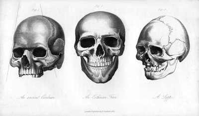 Ókori cimbrium, észt finn, lappe, 1848 alkotó: Unbekannt