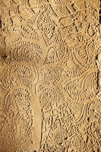 Angkor Wat, faragott részlet a WallTree-n, Siem Reap, Kambodzsa alkotó: Unbekannt