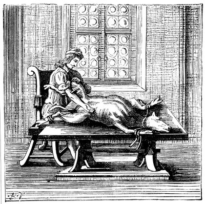 Állat-ember vérátömlesztés, 1679 alkotó: Unbekannt