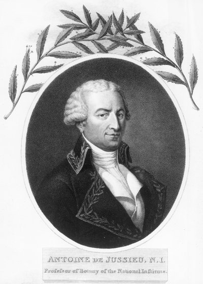 Antoine de Jussieu, 18. századi francia botanikus, 1807 alkotó: Unbekannt