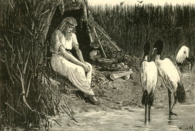 A delta mocsaraiban elrejtett Anysis, 1890. alkotó: Unbekannt