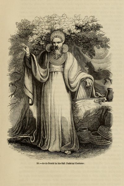 Arch-Druid teljes bírói jelmezében Az Old England: A Pitorial Museum, 1845 című könyvből alkotó: Unbekannt