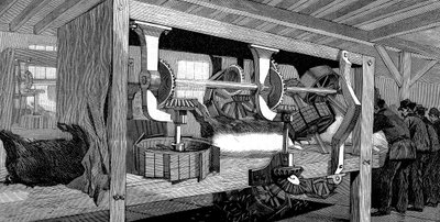 Schlachthaus der Armour Company, Chicago, Illinois, USA, 1892 von Unbekannt