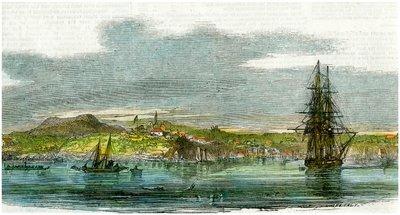 Auckland, Új-Zéland, 1880 alkotó: Unbekannt