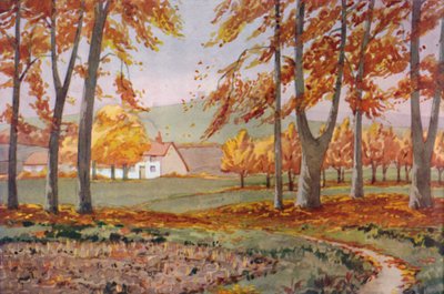Ősz – A fizikai, kémiai és biológiai változások, amelyeket a Nap 1935-ben okozott alkotó: Unbekannt