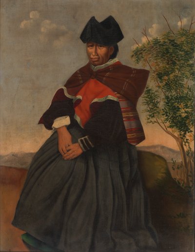Aymara Woman, kb. 1890-1892. alkotó: Unbekannt