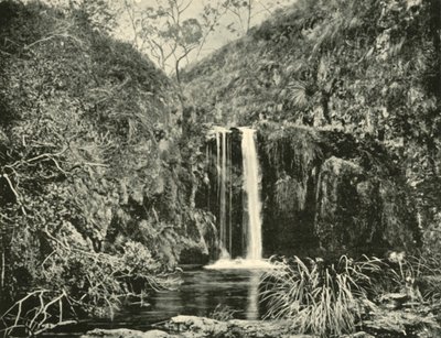 Back Creek vízesés, Buchan folyó, Victoria, 1901. alkotó: Unbekannt