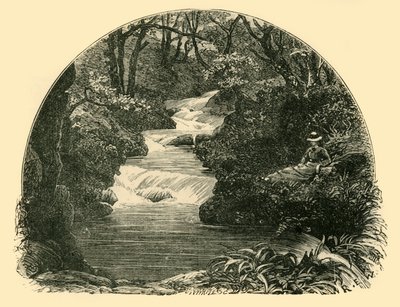 Bagworthy vízi csúszda, 1898. alkotó: Unbekannt